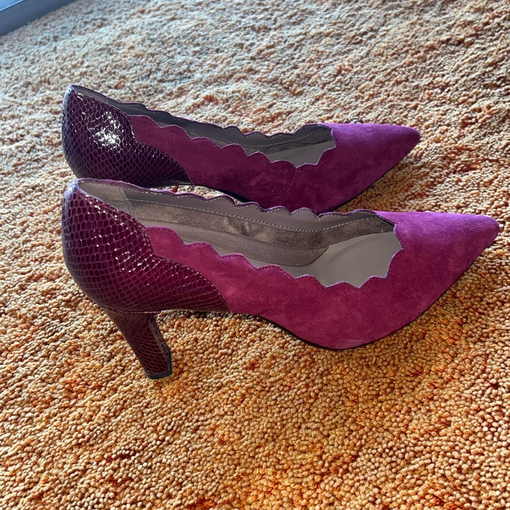 Women's Pointy Toe Pump Port Wine Suede
